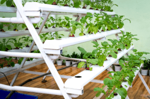 vertical planting